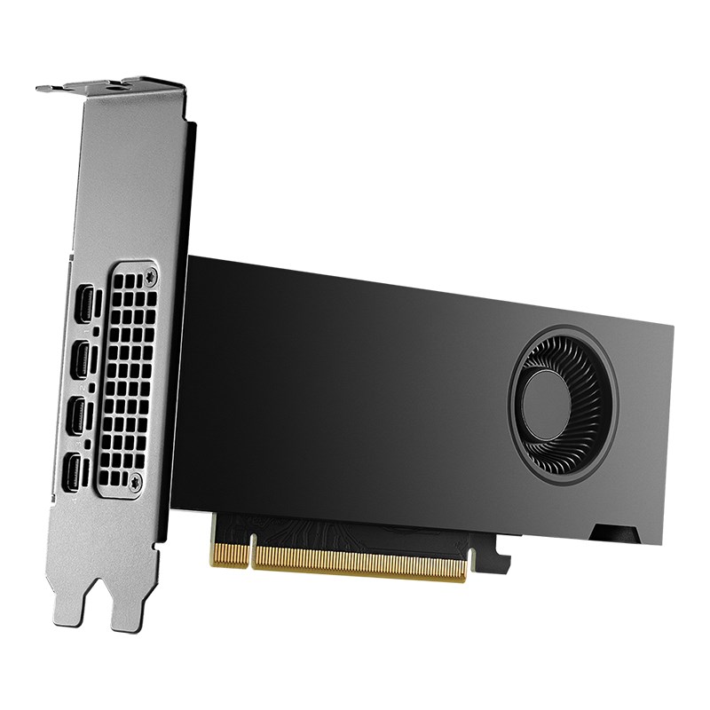 PNY NVIDIA RTX 2000 Ada Generation 16 GB GDDR6 - Image 3
